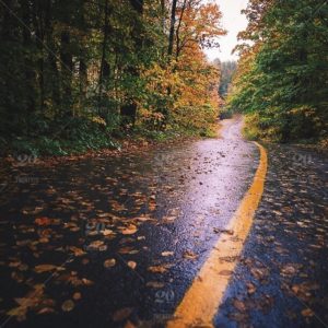 BBack Car Care Blog Fall Driving Conditions
