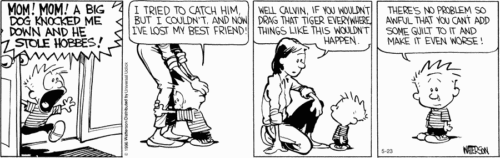 Calvin and Hobbes comic strip