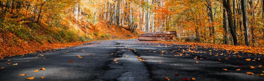 The OTHER Car Care Tips for the Fall Season