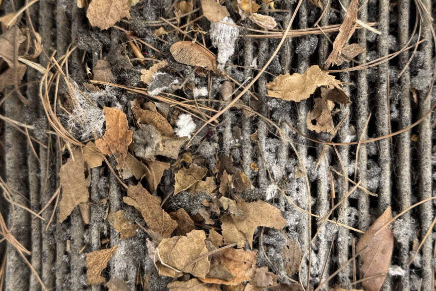 Breathe Easy in Your Car: Why Replacing Your Cabin Air Filter Matters
