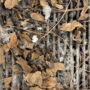 Breathe Easy in Your Car: Why Replacing Your Cabin Air Filter Matters